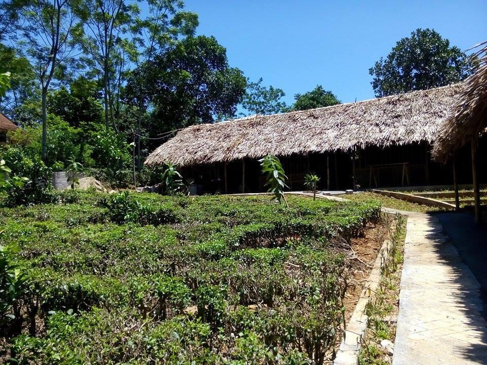 Family Homestay Ba Vi Kamer foto